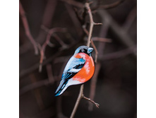 ����� ������� (�������)