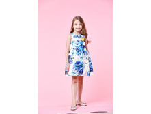 ���. ����