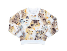 ������� ��� ������� ������