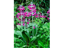 ������� ���������� ���� �� ���������3.jpg