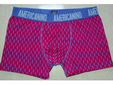 240 ��� AMER*CANINO