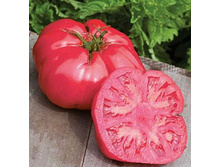 ����� �������� ������ ������ ������ 11 ���. (0,05 ��.).jpg