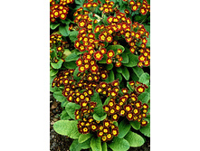 .������� ���������� ������� ���. ����. ����� ������ �� ���������3.jpg