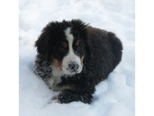 3 ������ 042.JPG