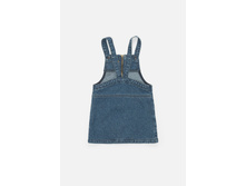 20220180061   Pixi        (    ).jpg