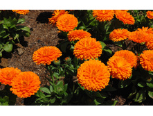 ��������� ������� ������ ���������2.jpg