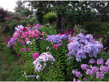 ������ � ����....