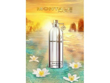 ���� Montale Soleil de Capri ������ - 100 ��