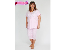 ���\�������: ��0024 ������ "����" ������� 370,00 ���.