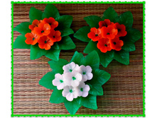 ������ �� �������, ���� 110 ���