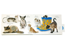 978-5-389-06433-1 r3.jpg