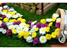 ���������� � ����.jpg