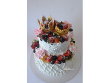 ��������� � ��������