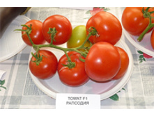 ����� �������� �� F1 - 30 ���. (15 ��.).jpg