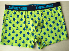 240 ��� AMER*CANINO