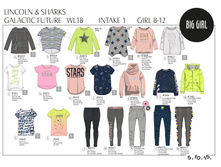 3,GALACTIC FUTURE WL18.jpeg