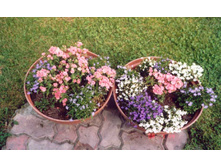 ����� ��������� �����3.jpg