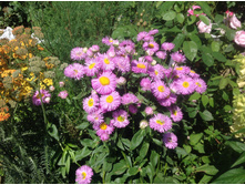 �������� �������