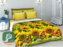 4274-1 ����������.jpg