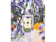 Wild bluebell 100 ��. ������ 10 ��=998+%+����