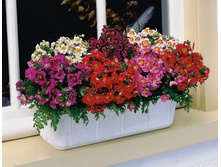 ��������� ��������� �����4.jpg