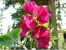 ������� �������� ������� ������,3.jpg