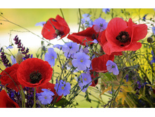 ��� � ������ - ��������� ��������.jpg