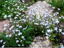 ��������� ���������� ���� �� ��������� � �����3.jpg