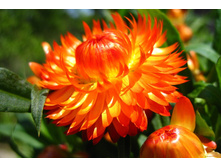 ���������� ��������� ������ 9,30 ���. (0,1��.).jpeg