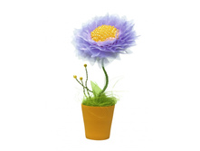 ������� ����������.jpg