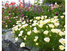 ��������� � ����. ���. ����3.jpg