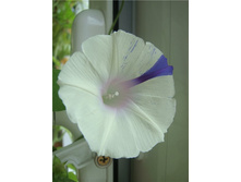 ������ �������� �������, ���� �� ��������� � �����3.jpg