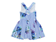 ���. ����