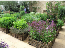 �������� � ������ �������.jpg