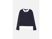 20200310005   Stork        (   ).jpg