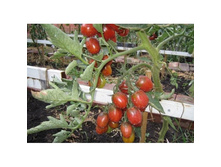 ����� ��-����� ������ ���. ����3.jpg