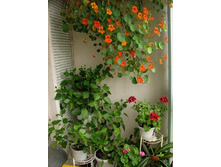 ��������� ����� ���������. �����.3.jpg