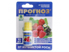 ������� (�� ��������� ����) 10��, ������ �����, BL ���� ���� 01-682 ���� 48,5 ���.jpg