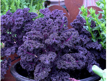 ������� �������� ���� ������� ������������ ��� �� � � �������.jpg