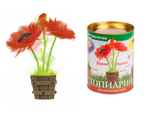 ��������� ����.jpg