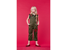 ���. ����