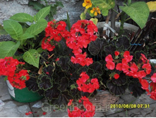 ���������� F1 ������ ������, ���� �� ��������� � �����. ����� ������2.jpg