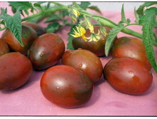 ����� ��-����� ������ ���. ����.jpg