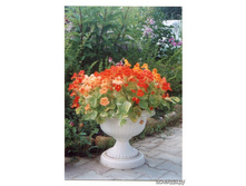 ��������� ����� ���������. �����.2.jpg