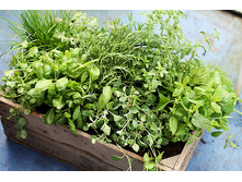 ����������� ���. ����5.jpg