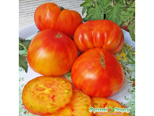 ����� ����� �� 26,30 ���. (5 ��.).jpeg