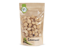 ���� ���������