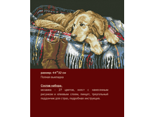 �-329 ����� ������ ������ (��) 44�32 ���� 1220 ���.png