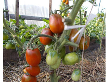 ����� ��-����� ������ ���. ����2.jpg