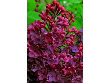 ����� ������+18�